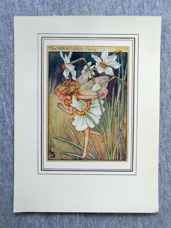 Narcissus Flower Fairy Vintage Print c.1950 Cicely Mary