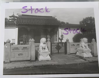 Black and White Film Photos of Chinese Garden in Singapore