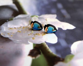 Fish Stud Earrings blue jewelry