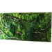 Artisan Moss® 70" x 36" Real Preserved Moss & Ferns in Reclaimed Wood Frame. VERY LARGE. Plant Painting®- No Care Green Moss Wall Art.