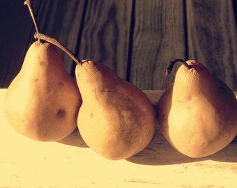 Pears still life, fine art photo, digital download, food art