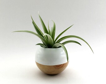 Sphere Succulent Air Plant Planter // White + Wood