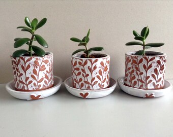 Succulent Terracotta Plant Pot