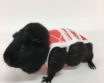 Piggy Pants Diapers- Fancy Salmon **FREE SHIPPING in Continental USA**