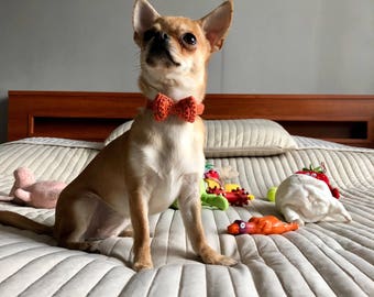 Dog Bow Tie Collar, Crochet Dog Collar, Soft Puppy Collar, Handmade Collar, Orange Chihuahua Collar, Small Dog Neckwear, Cute Dog