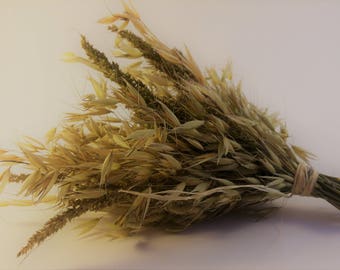 Floristic flora mix Oats grains dried crispy dry natural materials rustic home decorations for vase wedding bridal bouquet meadow plants