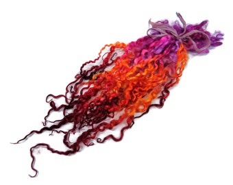 1oz Premium Hand picked Teeswater wool locks, 12"-16", Extreme locks for tailspinning and felting (1A)