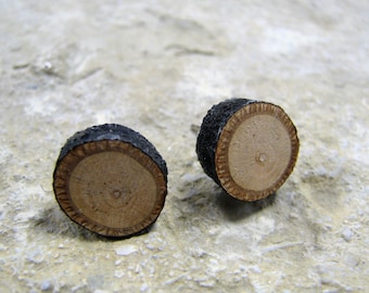 Rustic Linden - Tilia cordata- Twig Wooden Stud Earrings by Tanja Sova