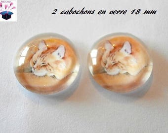 2 cat themed 18mm domed glass cabochon