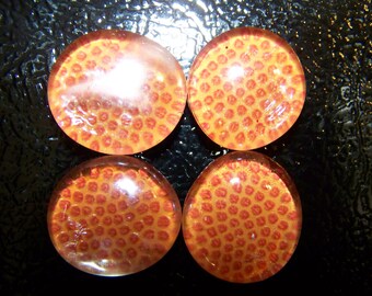 Basketball Refrigerator Magnets Set of 4