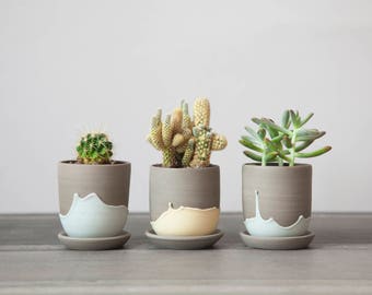 Cactus pot - ceramic planter - small plant pot - plant pot cover - stoneware plant pot - plant holder - succulent - plant hanger