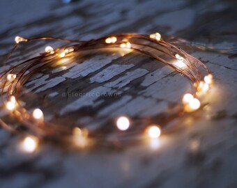 Wedding Decorations, Fall Wedding, Fairy Lights, Mason Jar Lights, Firefly lights, Rustic Wedding Decor, Firefly Jar lights, battery *no jar