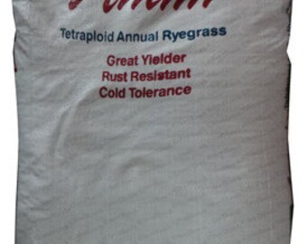 Attain Tetraploid Annual Ryegrass Seeds