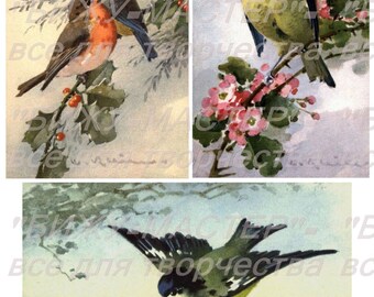 Rice paper decoupage #160001 birds Decopatch Decoupage supplies
