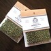 Madagascar Green Peppercorns