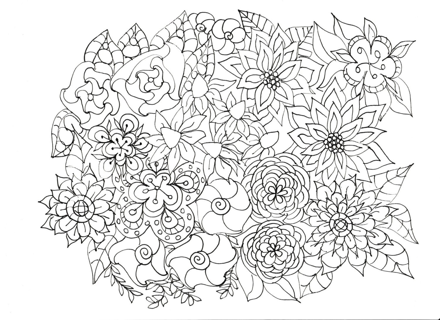 Download Adult Coloring Pages Flowers Plants Garden