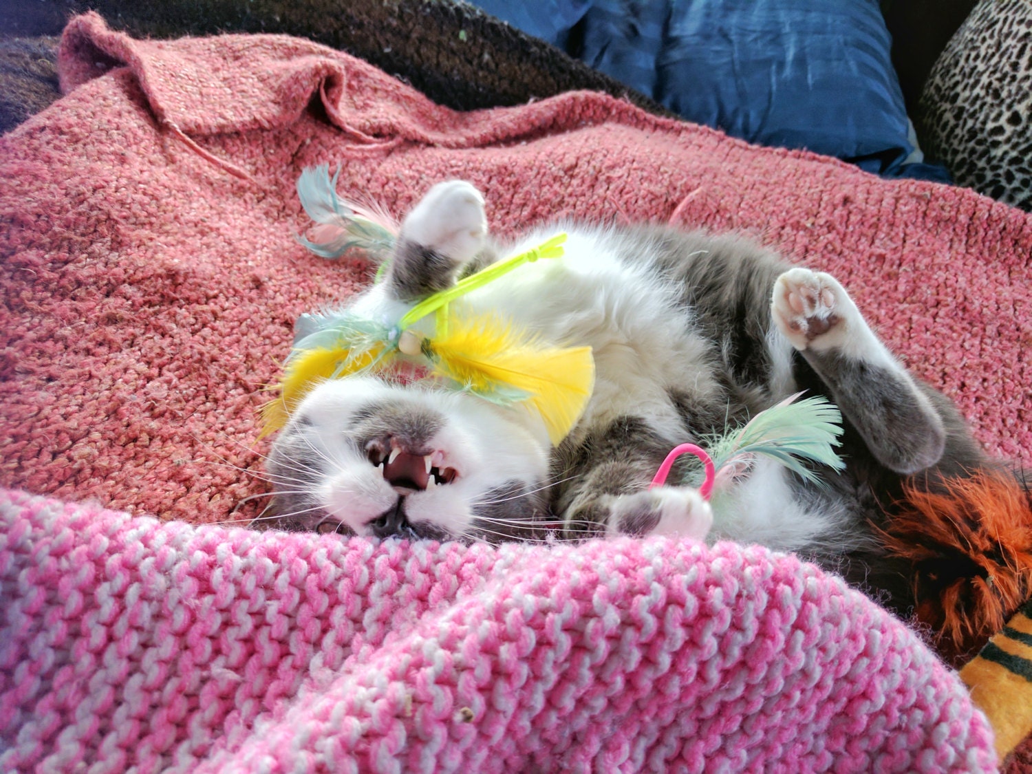 toys for cats who like hair ties