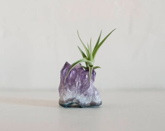 Amethyst Crystal Terrarium, Air Plant Crystal Garden, Office Desk Accessories, Mini Plants, Coworker Gift, Boho Decor, Best Friend Gift