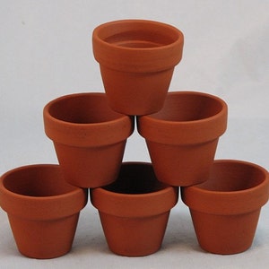10 - 2.5" x 2.25" Mini Clay Pots - Great for Plants and Crafts