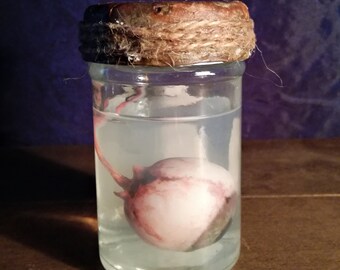 PRESERVED EYE (MinceShow)