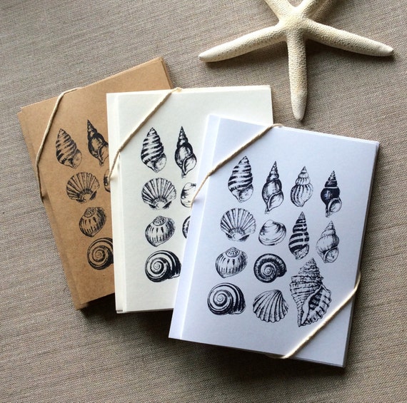 6 Seashell Card Set seashell note cards Greeting cards