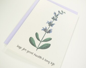 Sage for Good Health and Long Life