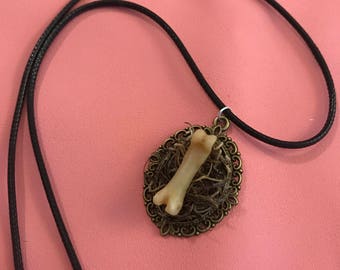 Coyote Toe Bone Necklace