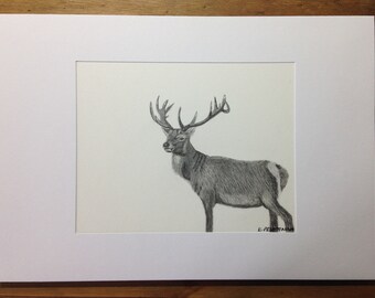 Original Art Card - Stag