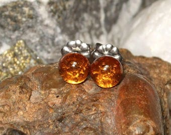 Baltic Amber 6mm Ear Studs Stud Earings Titanium Posts and Clutches Hypo Allergenic Made in Newfoundland ENERGY No Bugs
