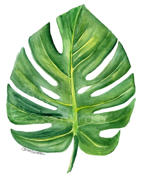 Monstera Leaf Watercolor Painting 8 x 10 Giclee Print