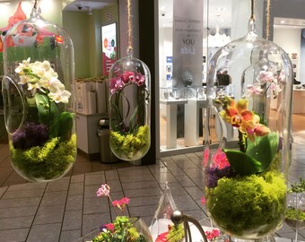 Orchid Live Plant Terrarium Glass 12 Inch / Wedding Arrangement Centerpiece / Floral Arrangement / Gift / Mother's Day