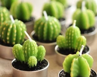 Candle Gift Set | Wedding Favor Idea | Wedding Guest Bridesmaid Friend Cactus Succulent Plant Candle Gift