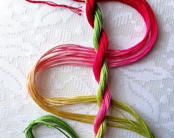 Embroidery floss "Rhubarb Pie" hand dyed cotton