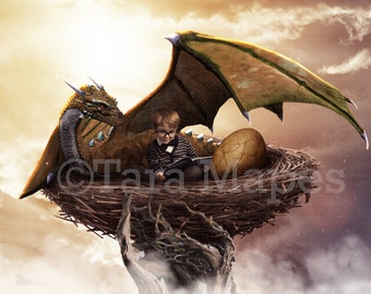 Dragon Nest Digital Background / Backdrop