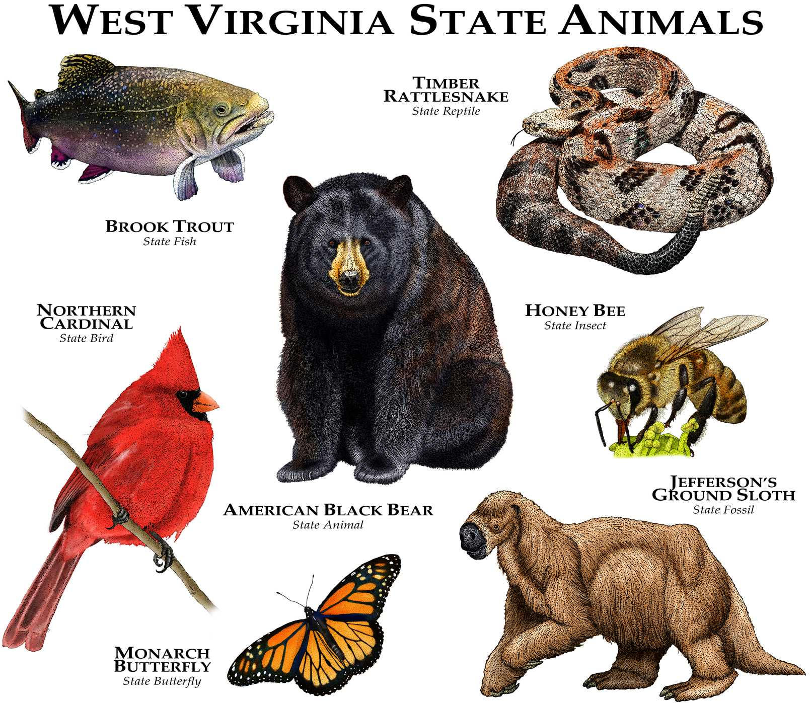 West Virginia State Animals