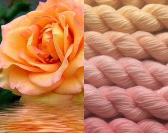 Gradient yarn set - merino wool, handdyed yarn 150g- hand painted dyed sock shawl ombre -Tea rose colors.