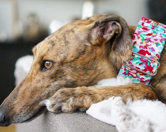 Martingale collar, Greyhound Collar, Galgo Collar, Saluki Collar, Sighthound Collar, Confetti Collar, Abstract Collar, Cotton Dog Collar