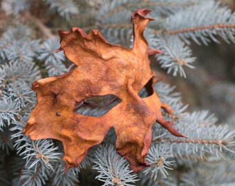 Brown Split Leather Red Oak Leaf Masquerade Mask