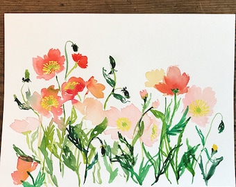 Icelandic Poppies