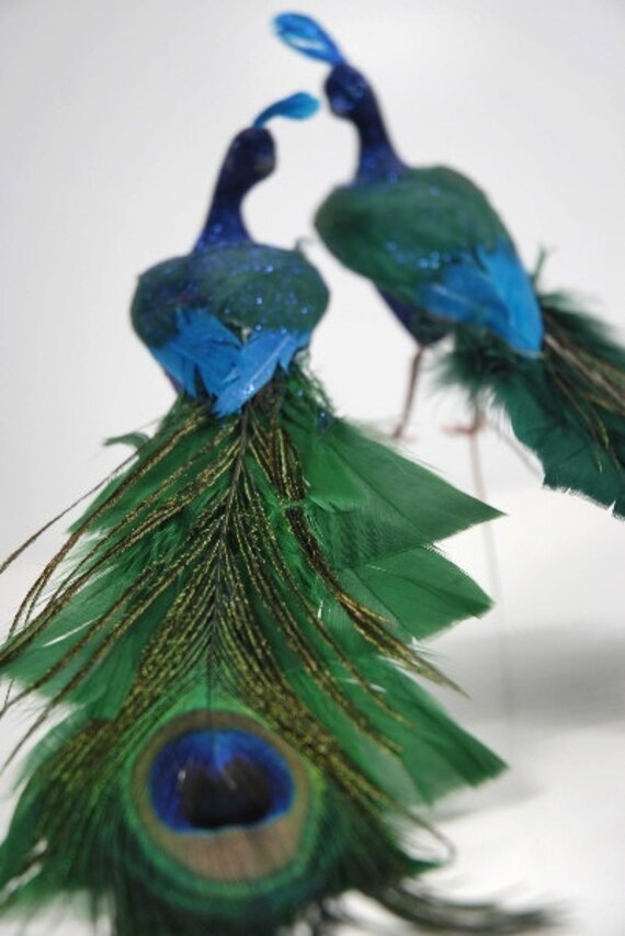 pair 2 8 inch wedding teal green blue peacock feathers bird pair 2 8 inch wedding teal green blue peacock feathers bird