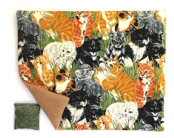 Catnip Mat plus Catnip Cats in Grassy Field Refillable Reversible