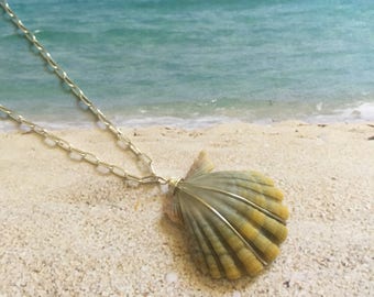 Moonrise Shell Necklace