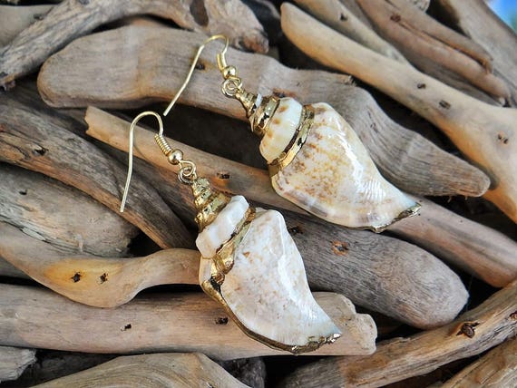 Conch Shell Earrings Genuine Natural Strombus Urceus Strombidae Gold Plated Dipped Seashell Sea Shell Earring Earrings Ear Hooks