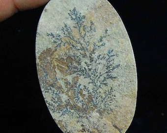102 cts Aaa 100% Natural Glossy Psilomelane Dendrite Fossil Tree Agate Cabochon Oval Shape Gemstone Size=58x35x4 mm