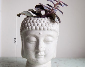 Buddha Head Planter - cement plant pot - Buddha Head Planter #3