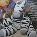 Zippy the Zebra Stuffed Animal Sewing Kit