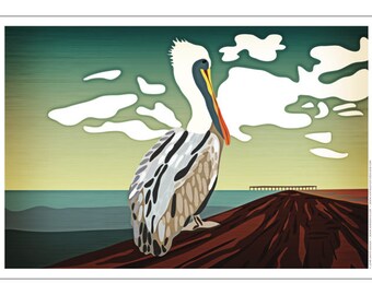 Brown Pelican Poster