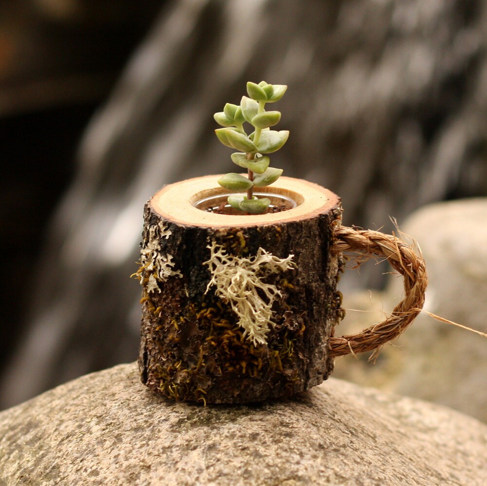 Coworker Gift Succulent Pots Rustic Coffee Mug Plant Holder Coworker Gift Succulent Pots Rustic Coffee Mug Plant Holder