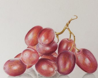 Colored pencil grapes drawing - original art - still life painting - grapes painting