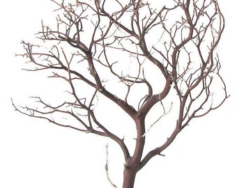blooms n branches on